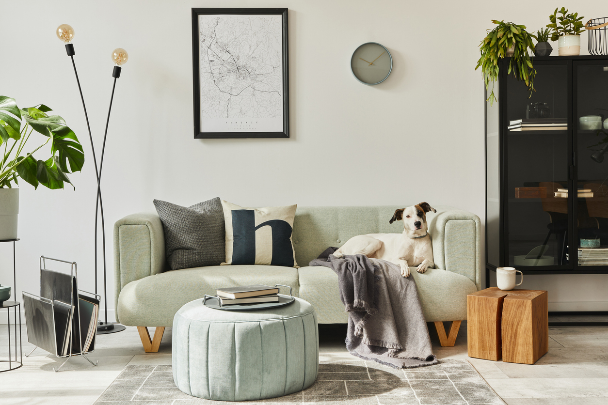 Salon lumineux d'un logement Ouest Conciergerie
